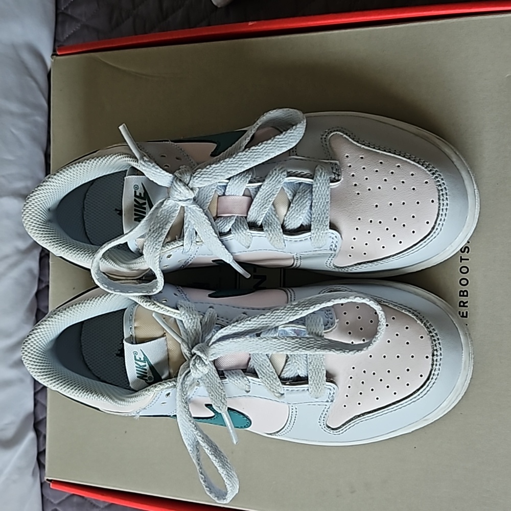 Kids Nike Dunks